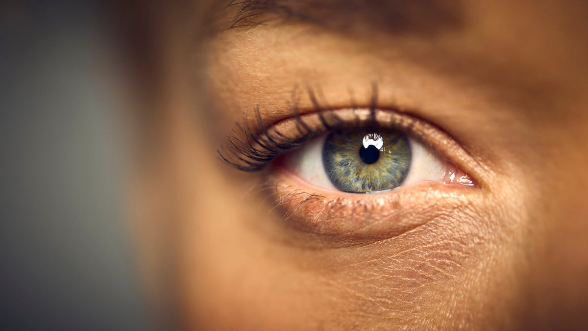 Eye Health – MD Custom Rx